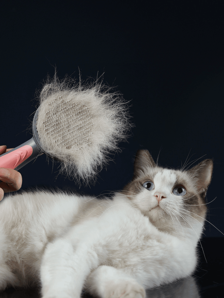 Removedor de Pelos Pet Hair